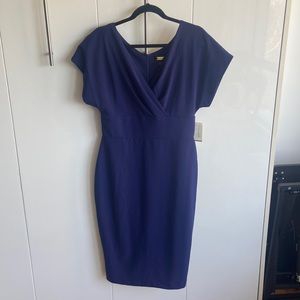 Gorgeous navy dress. Never worn.